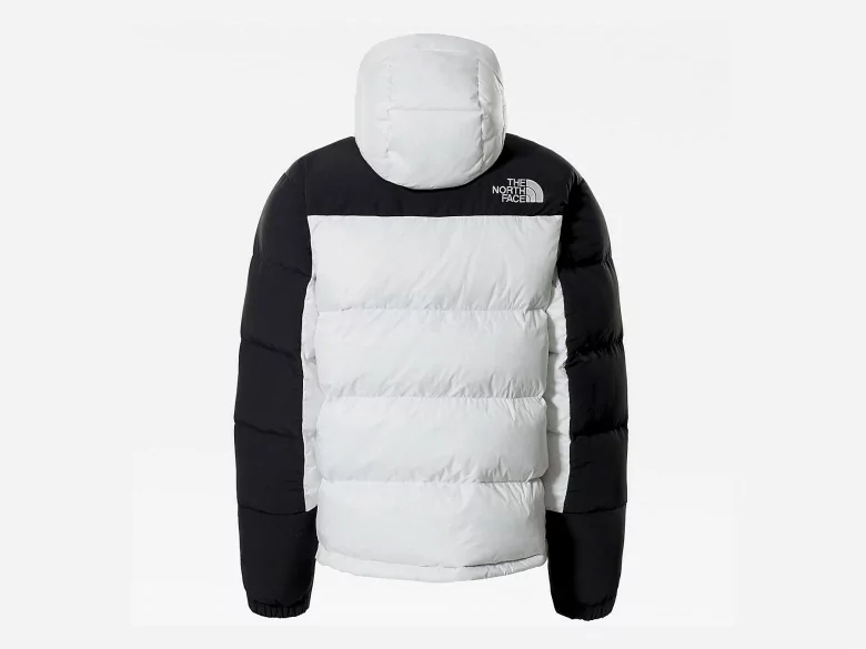 north face blue and white jacket